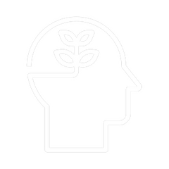 Content and Knowledge Content and Knowledge